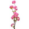Clayre & Eef Dekorácia umelá vetvička s tmavo ružovými kvetmi - 10*8*92 cm - Clayre & Eef