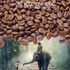 KÁVA INDICKÁ MONZUNOVÁ ASPIN WALL - indická káva 50g mletá velmi hrubě (French press a vietnamská káva)