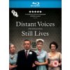 Distant Voices, Still Lives