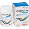 GlutaMax ADVANCED na ochranu pečene pre psy 12x10tbl