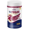 Vitar Veterinae ArtiVit Pegas MSM 720 g