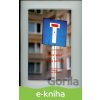 E-kniha Veľký Brat a Veľká Sestra - Miroslav Kusý, Milan Šimečka