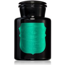 Paddywax Apothecary Noir Tabac & Pine 226 g