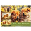 Chow Chow Momente. Fellpoesie aus dem Reich der Mitte Wand DIN A4 quer CALVENDO Monats 2026