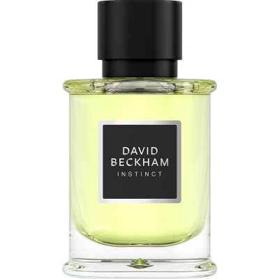 David Beckham Instinct Eau de Parfum Parfémovaná voda 50ml, pánske
