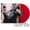 Dying Wish: Flesh Stays Together LP - Dying Wish, Dying Wish