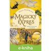Magický expres: Medzi svetlom a tieňom - Anca Sturmová