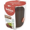 BOLSIUS Oud Wood 313 g