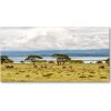 Foto obraz fotografie na skle jazero Naivasha 100x50 cm