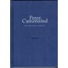 Peter Camenzind - Hermann Hesse