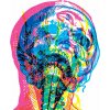 Mandy, Indiana - Urgh (CD)