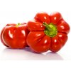 Rajčinová paprika Szuszanna - Capsicum annuum - semená - 7 ks