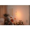 Paulmann LED světelný zdroj METALLIC GLOW ZYL mosaz Helix E27 3,5W 130lm 1800K 230V