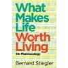 What Makes Life Worth Living: On Pharmacology (Stiegler Bernard)