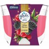 Glade Maxi Winter Berries 204 g