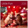 Kalendár nástenný plánovací 2026 - Little Fun