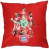 Fan-shop Polštářek BAYERN MNICHOV Players 2025/26