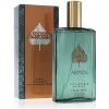 Aspen Aspen EDC 118 ml pre mužov