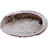 Nefertitis Abalón mušle leštená vykurovacia miska M 12 až 15 cm NF42891 - cca 12 až 15 cm