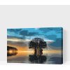 Vymalujsisam.sk Maľovanie podľa čísiel - Osamelý strom 2 Veľkosť: 40x60cm, Rám: Na kartónovej doske