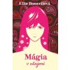 Čarodejnica z Turlinghamu 2 (Mágia v utajení)