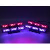PREDATOR LED do mriežky, 12V, modro-červený (kf746-4blre)
