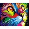 Gaira® Malovanie podľa čísel Farebná mačička M1136
