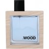 Dsquared2 Wood Ocean Wet Wood Toaletná voda pánska 100 ml