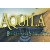 Aquila Bird Flight Simulator Steam CD Key
