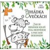 Pohádka o ovečkách - Ivo Lukáš