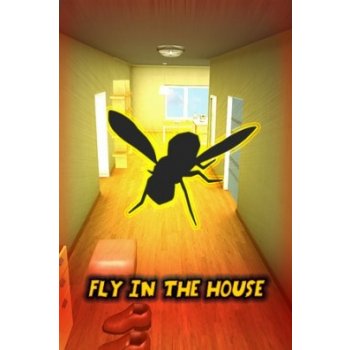 Fly In The House