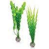 biOrb Plant Pack set M zelené 29 cm