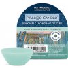 Yankee Candle Aloe & Agave vosk do aromalampy 22 g