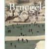 Bruegel in Detail