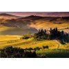 Donga Fototapeta vliesová: Toskánsko - 104x152,5 cm