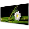 Nástenný panel Bambus kvet rastlina 100x50 cm