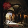 Obscure Infinity - Dawn Of Winter [CD]