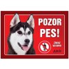 Juko Plastová tabuľa Pozor Pes Malamut 21 x 14,7 cm