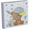 Tradag Teddy Blue 10x15/200