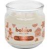 Sviečka Bolsius Large Jar, Cookie Fever, vonná, Vianoce, béžová, 100x98 mm, v skle