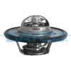 TERMOSTAT DT1019V