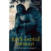 Když andělé dřímají (Tereza Bartošová)