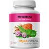 MycoMedica MycoMeno pri problémoch v menopauze predmenštruačnom syndróme a bolestivej menštruácii 90 kapsúl
