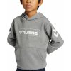 Hummel Box Hoodie 213321-2800
