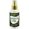 PURITY VISION Bio Borovicová voda 100 ml