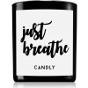Candly & Co. Just Breathe vonná sviečka 250 g