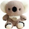 Plyšová Hračka plyšová hračka Medvedík Koala šedá 23 cm