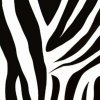 Patifix fólie 15-6495 Zebra 45 cm x 15 m (KVALITNÁ SAMOLEPIACA TAPETA)