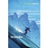 Lonely Skier
