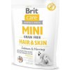 Brit Care Mini GF Hair/Skin 0,4 kg